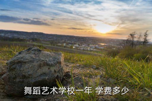 沈阳舞蹈班学费是多少钱