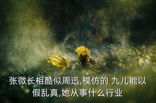 张微长相酷似周迅,模仿的 九儿能以假乱真,她从事什么行业