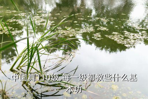 舞蹈5级组合,中国五九级舞蹈组合视频全部
