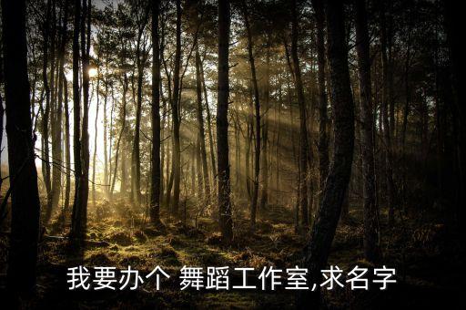 我要办个 舞蹈工作室,求名字