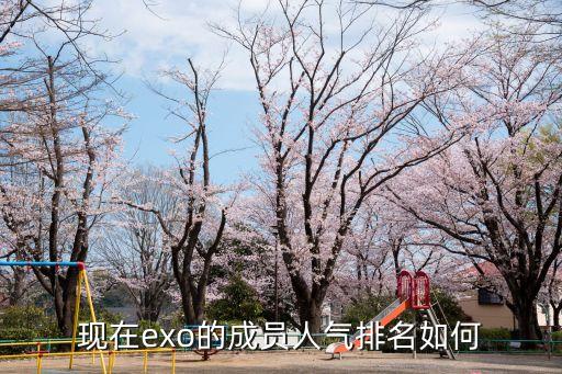 kai的舞蹈实力,郑秀妍舞蹈实力