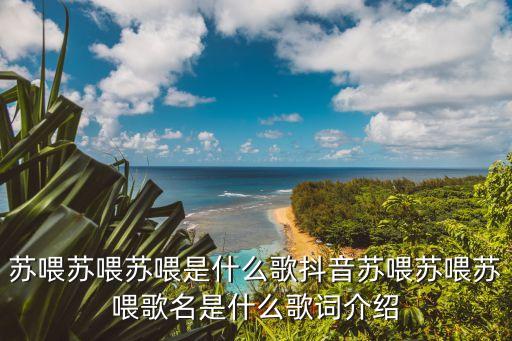 苏喂苏喂苏喂是什么歌抖音苏喂苏喂苏喂歌名是什么歌词介绍