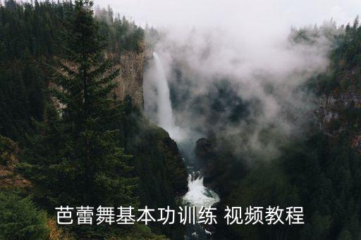 芭蕾舞基本功训练 视频教程