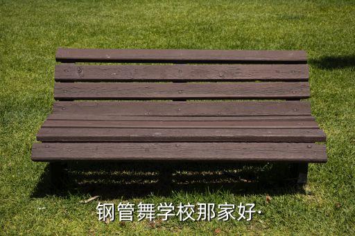  钢管舞学校那家好·