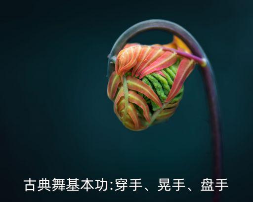 古典舞基本功:穿手、晃手、盘手