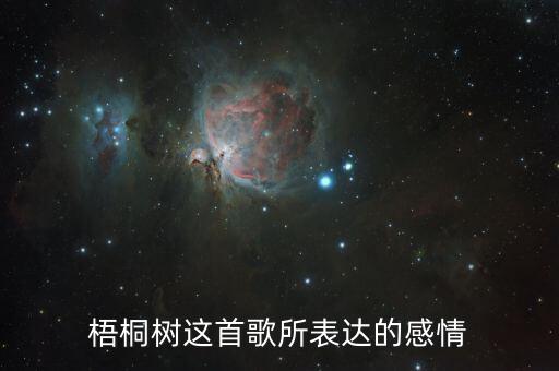 梧桐树这首歌所表达的感情