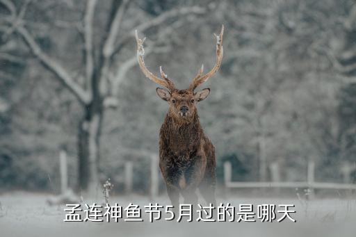 云南美舞蹈视频孟连,歌唱孟连舞蹈视频大全