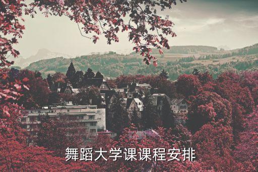 舞蹈专业设置教学计划,舞蹈学校教学计划和教学大纲