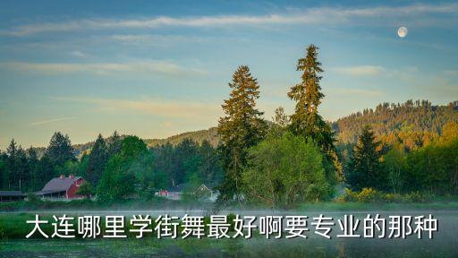  大连哪里学街舞最好啊要专业的那种