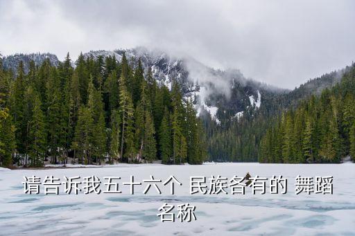 中国民族舞蹈鹅,对中国民族舞蹈的认识
