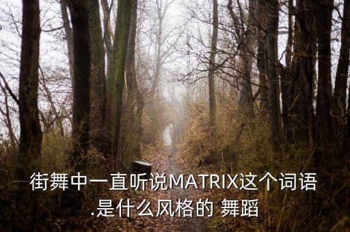 英文热身舞蹈,热身舞蹈简单易学