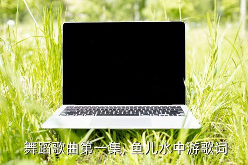  舞蹈歌曲第一集, 鱼儿水中游歌词