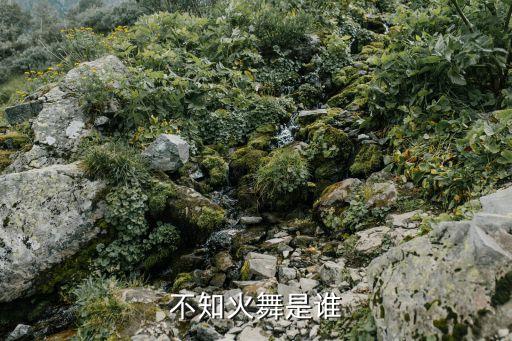 不知火舞是谁