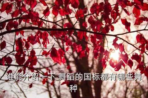 牛仔舞舞蹈