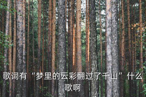 歌词有“梦里的云彩翻过了千山”什么歌啊