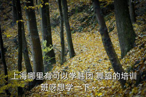  上海哪里有可以学韩团 舞蹈的培训班呀想学一下～～