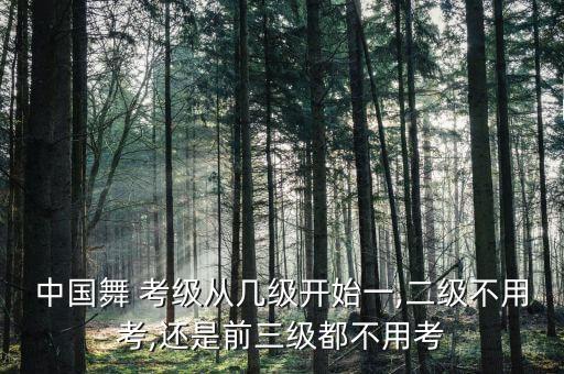 中国舞 考级从几级开始一,二级不用考,还是前三级都不用考