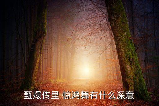 惊鸿舞古典舞蹈视频,甄嬛传舞蹈惊鸿舞教学视频