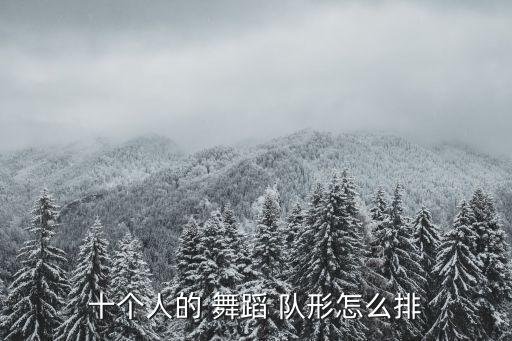 元旦舞蹈队形17人