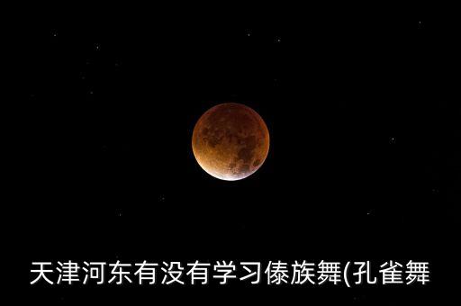 天津河东有没有学习傣族舞(孔雀舞