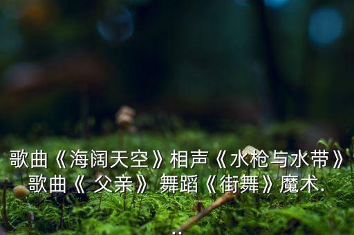 歌曲《海阔天空》相声《水枪与水带》歌曲《 父亲》 舞蹈《街舞》魔术...