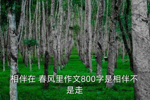 相伴在 春风里作文800字是相伴不是走