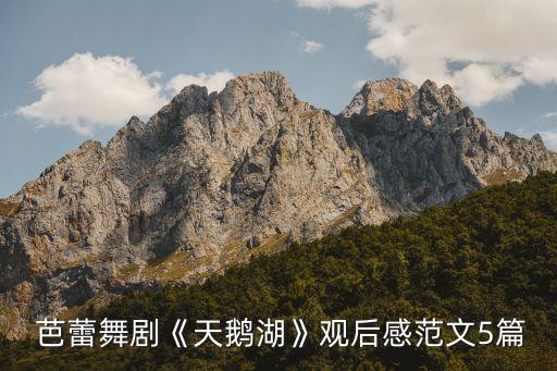 芭蕾舞蹈鉴赏