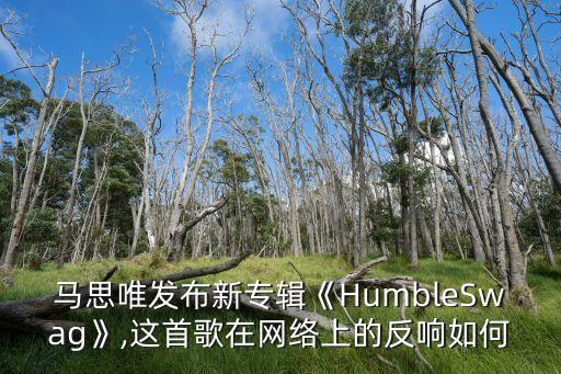 马思唯发布新专辑《HumbleSwag》,这首歌在网络上的反响如何