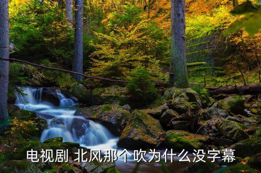 北风那个吹舞蹈基本步,白毛女北风那个吹舞蹈视频
