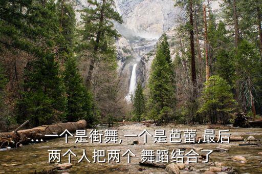 ...一个是街舞,一个是芭蕾,最后两个人把两个 舞蹈结合了