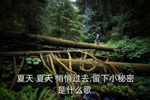  夏天 夏天 悄悄过去,留下小秘密是什么歌