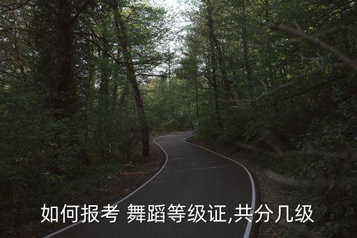 如何报考 舞蹈等级证,共分几级