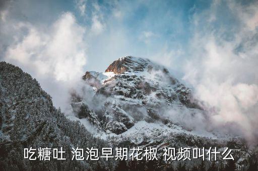 舞蹈视频4级吐泡泡的小鱼,民族民间舞吐泡泡的小鱼舞蹈教案