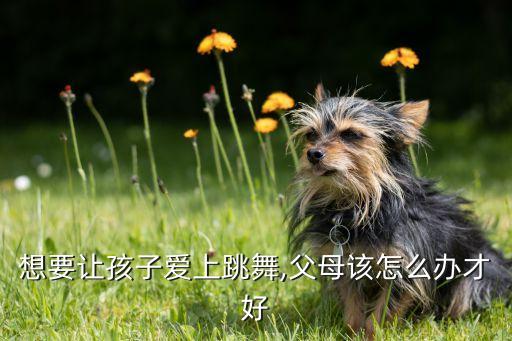 想要让孩子爱上跳舞,父母该怎么办才好