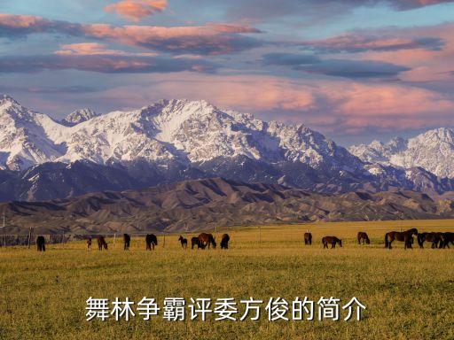 舞林争霸评委方俊的简介