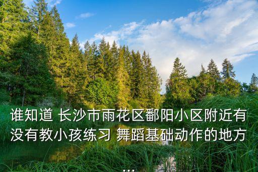 长沙美少儿舞蹈学校,长沙少儿舞蹈培训机构哪家好