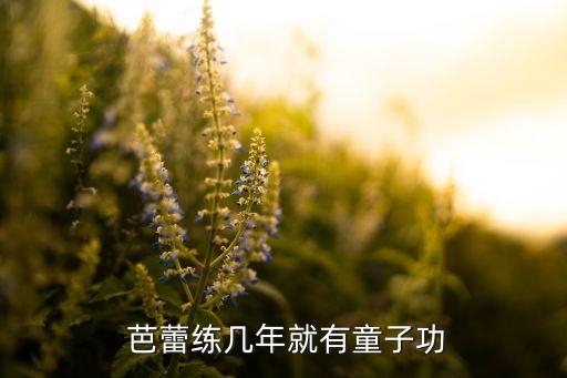  芭蕾练几年就有童子功