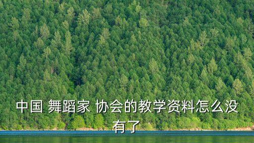 中国 舞蹈家 协会的教学资料怎么没有了