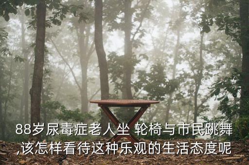 舞蹈专用轮椅,李辉 舞蹈轮椅简介