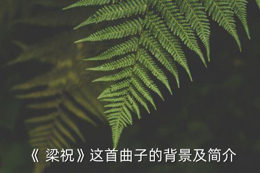 《 梁祝》这首曲子的背景及简介