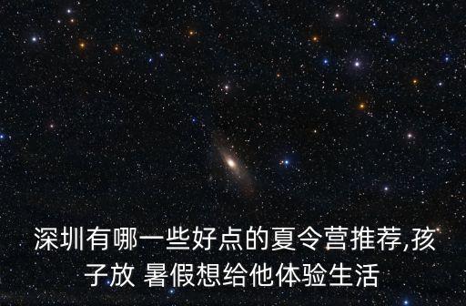 深圳儿童暑假南山舞蹈活动