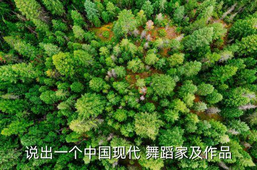 说出一个中国现代 舞蹈家及作品