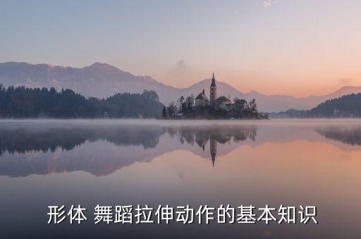  形体 舞蹈拉伸动作的基本知识