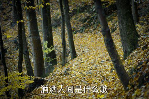 酒洒人间是什么歌