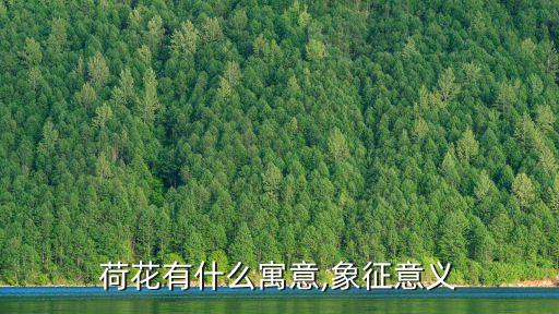 荷花有什么寓意,象征意义