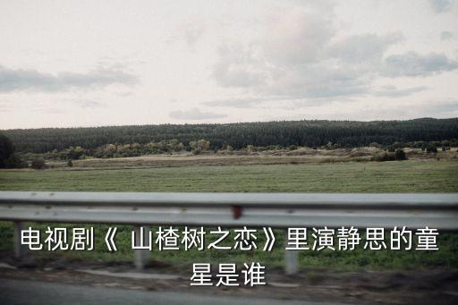 电视剧《 山楂树之恋》里演静思的童星是谁