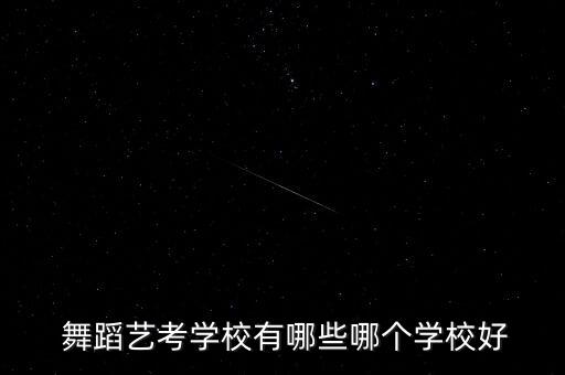  舞蹈艺考学校有哪些哪个学校好