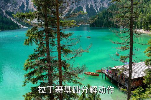 小孩拉丁舞蹈视频大全,少儿拉丁舞蹈视频大全100