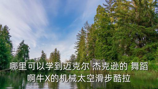哪里可以学到迈克尔 杰克逊的 舞蹈啊牛X的机械太空滑步酷拉