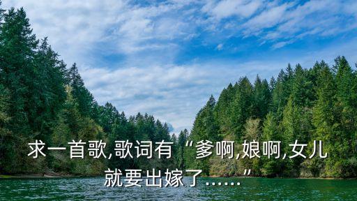 舞蹈草原一支花有队形